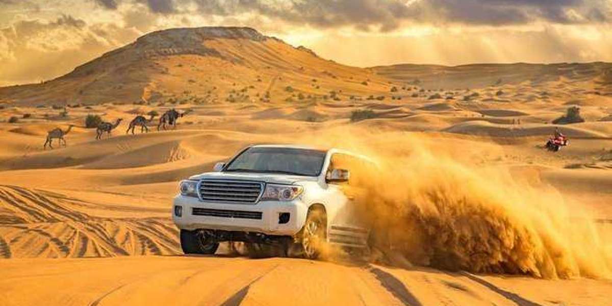 Enjoy Desert Safari Dubai when going to Dubai